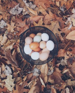 eggsInBasket